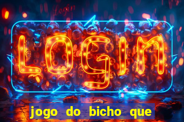 jogo do bicho que paga no pix